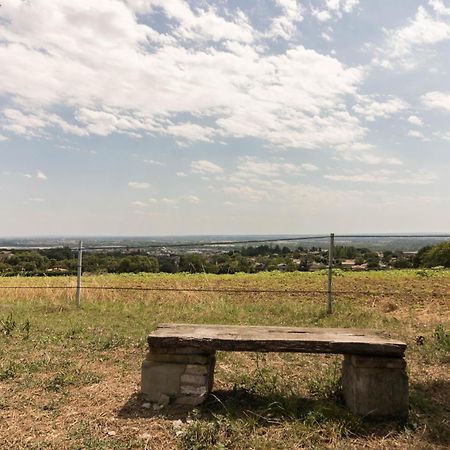Gite Des Moulins Castelnau-dʼEstrétefonds Exteriér fotografie
