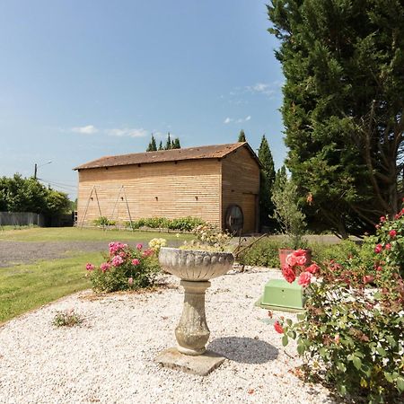 Gite Des Moulins Castelnau-dʼEstrétefonds Exteriér fotografie